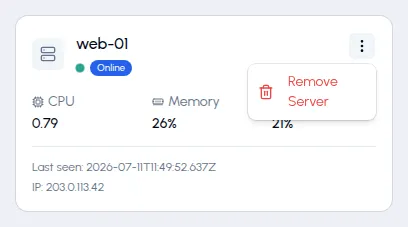 Server actions menu opened on a server page, showing the Remove Server entry